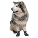 ЧИП Обувь для собак №5, черная (пара) – интернет-магазин Ле’Муррр