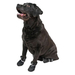 ЧИП Обувь для собак №4, черная (пара) – интернет-магазин Ле’Муррр